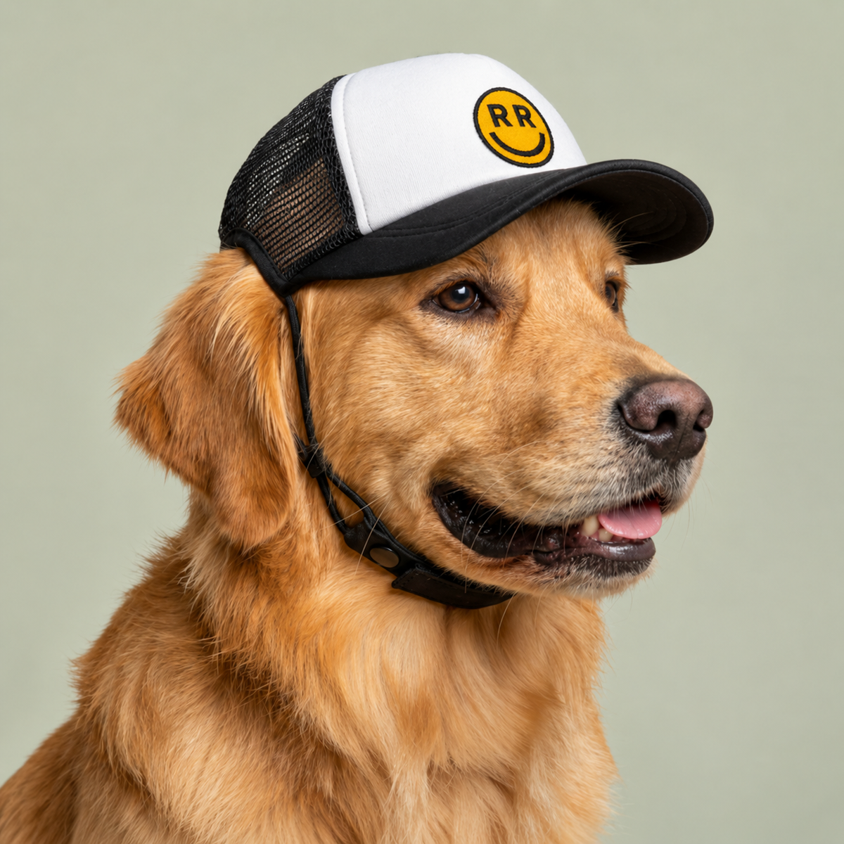 RR trucker hat (for pets)